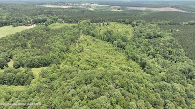 00 Lindsey Rd, Eclectic, AL 36024 - photo 2