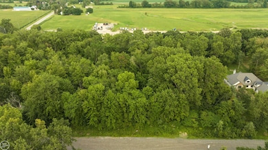 62880 Braun Dr, Washington, MI 48094 - photo 2