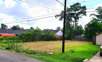 10542 Bainbridge St, Houston, TX 77016 - photo 2