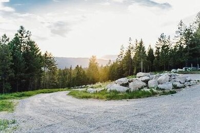 1003 Springhill Rd, Kila, MT 59920 - photo 3