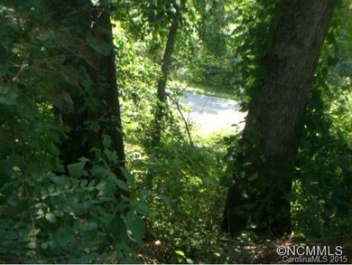 22 Goughes Branch Rd, Leicester, NC 28748 - photo 7