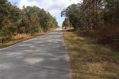 00 Geranium Ave, Dunnellon, FL 34431 - photo 4