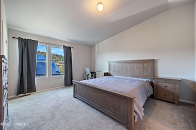 53 County Road 2092, Alpine, AZ 85920 - photo 7