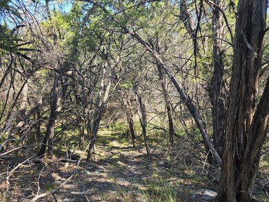 20702 Oak Ridge, Lago Vista, TX 78645 - photo 4