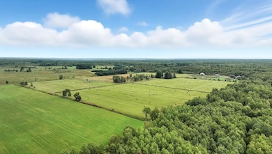 000 10 Crossing Rd, Ogema, WI 54459 - photo 6