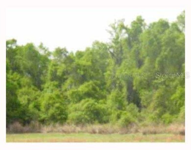 9823 Belmont Park Dr, Dade City, FL 33525 - photo 7