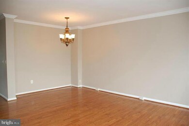 42781 Shaler St, Chantilly, VA 20152 - photo 4