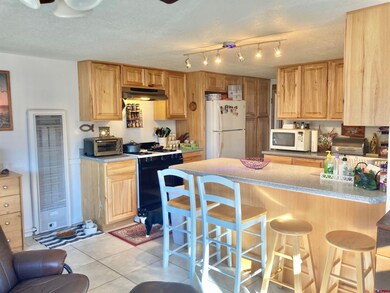 135 W 32nd St, Durango, CO 81301 - photo 5