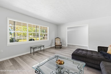 8066 Redbud Ln, Brooksville, FL 34601 - photo 6