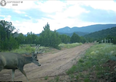 6179 County Road 84, Florence, CO 81226 - photo 6