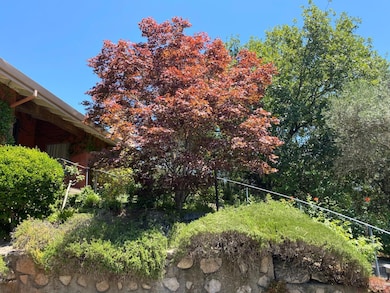 3594 Silverado Trail N, Saint Helena, CA 94574 - photo 3