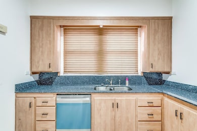 Kitchen featuring light brown cabinets, dishwasher