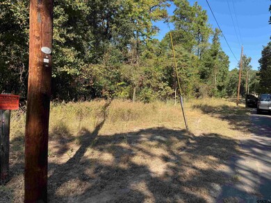 Lot 336 King Bernanrd, Scroggins, TX 75480 - photo 4