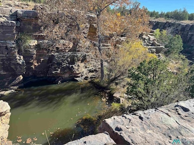 158.81 ac Off Cr B27a Rd, Bernal, NM 87569 - photo 7