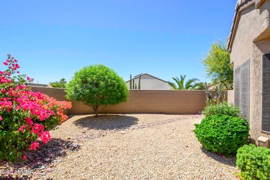 Expansive Backyard