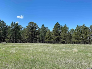 46B Two Pipe Trail, Sundance, WY 82729 - photo 7