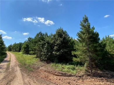 62 Ruts Pines Loop, Broken Bow, OK 74728 - photo 2