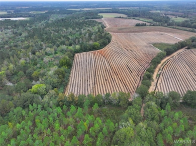 2833 Omussee Rd, Dothan, AL 36303 - photo 3