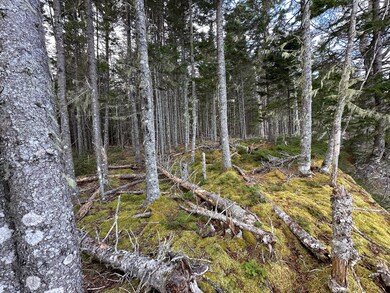 102 Naskeag_005