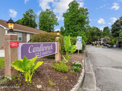 522 S Kerr Ave unit 31, Wilmington, NC 28403 - photo 4