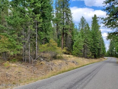 Road View