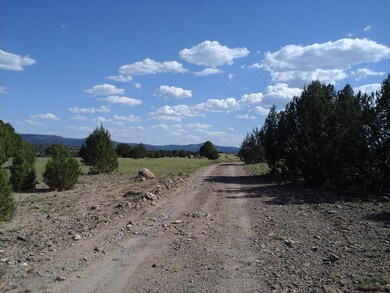 Lot 47 Juniperwood Ranch Unit 11, Ash Fork, AZ 86320 - photo 3