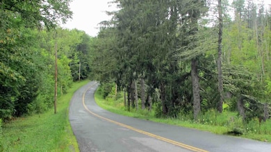 676 Keyserkill Rd, Middleburgh, NY 12122 - photo 3