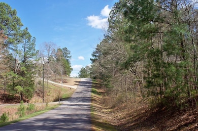 1290 Northwoods Dr, Greensboro, GA 30642 - photo 6