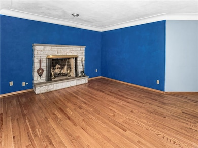 Wood Burning Fireplace