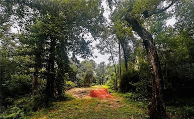 Parcel 7 16 Hwy, Franklinton, LA 70438 - photo 3