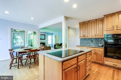 12114 Blue Flag Way, Columbia, MD 21044 - photo 6