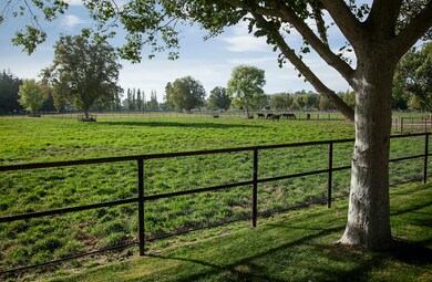 Pastures 3