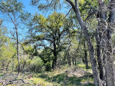 Tbd Interstate 20, Santo, TX 76472 - photo 5