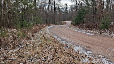 From the driveway, looking down Ginger Creek Pass to the left