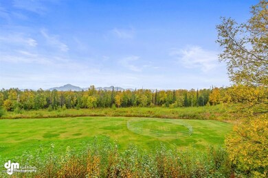 Back Yard / Horse Pasture
