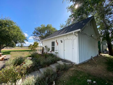 IMG_2241
