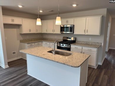 3020 Hallsdale Dr, Elgin, SC 29045 - photo 2