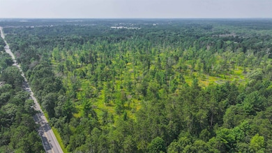 44.59 Acres Brilowski Rd, Stevens Point, WI 54482 - photo 4