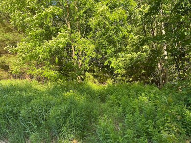 18 Split Oak Cir unit 4A/A001/01, Chesterfield, NH 03443 - photo 5