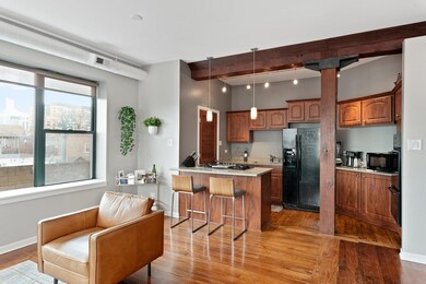 1117 W Fry St unit 8, Chicago, IL 60642 - photo 5