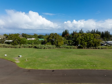 54-3705 Lehuula Cir, Kapaau, HI 96755 - photo 5