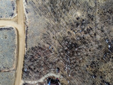 1555 Sheep Ridge Rd, Fairplay, CO 80440 - photo 3