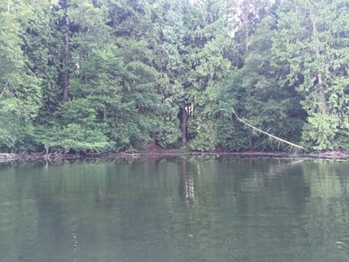 31 W Lake Ketchum, Stanwood, WA 98292 - photo 2