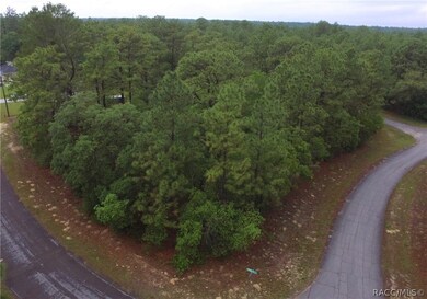 9290 N Marcus Way, Citrus Springs, FL 34433 - photo 2