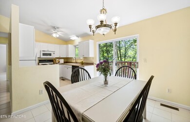 635 W Gold Dust Dr, Pigeon Forge, TN 37863 - photo 5