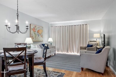 29 Custer St unit 201, Jamaica Plain, MA 02130 - photo 6