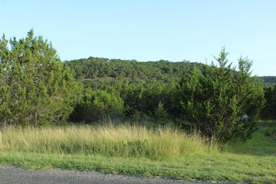 View of tree filled area