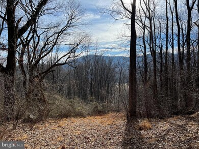 0 Harris Hollow Rd unit VARP2000934, Washington, VA 22747 - photo 4
