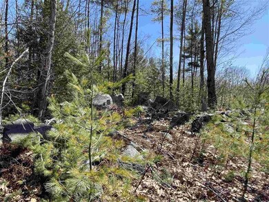 945 Route 16, Ossipee, NH 03864 - photo 2