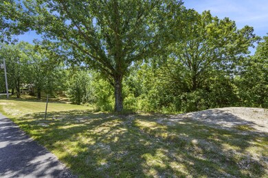 161 Notch Ln Branson West MO 65737  (1)